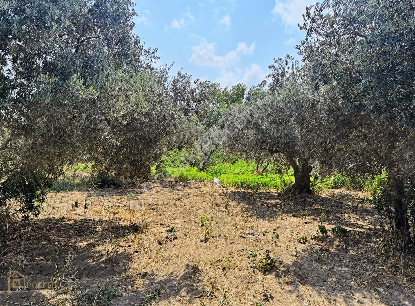 Kastride Denize 20 Adım Köşe Parsel 1744 M2 Satılık Otel Arazisi - Görsel 7