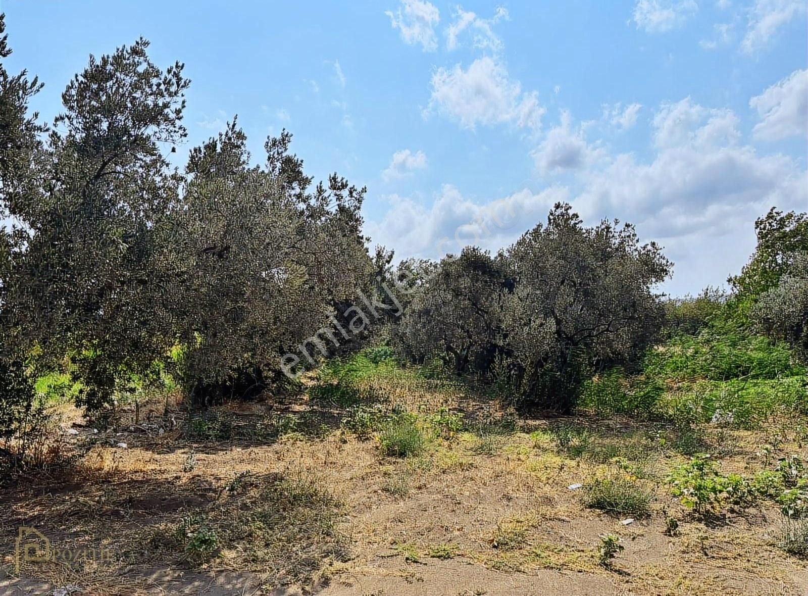 Kastride Denize 20 Adım Köşe Parsel 1744 M2 Satılık Otel Arazisi - Görsel 9