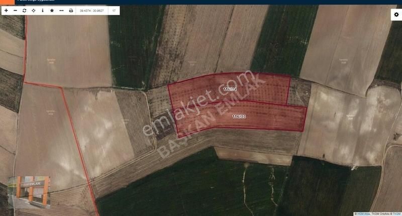 Başkan Emlaktan Satılık Mahmudiye Orta Mah 65.284 M2 Tarla - Görsel 9