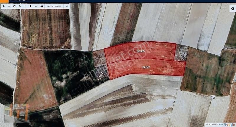 Başkan Emlaktan Satılık Mahmudiye Orta Mah 65.284 M2 Tarla - Görsel 7