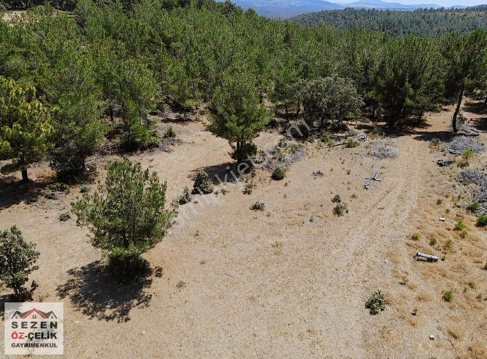 Çanakkale Salihler Köyünde Satılık 4 Dönüm Arazi - Görsel 5