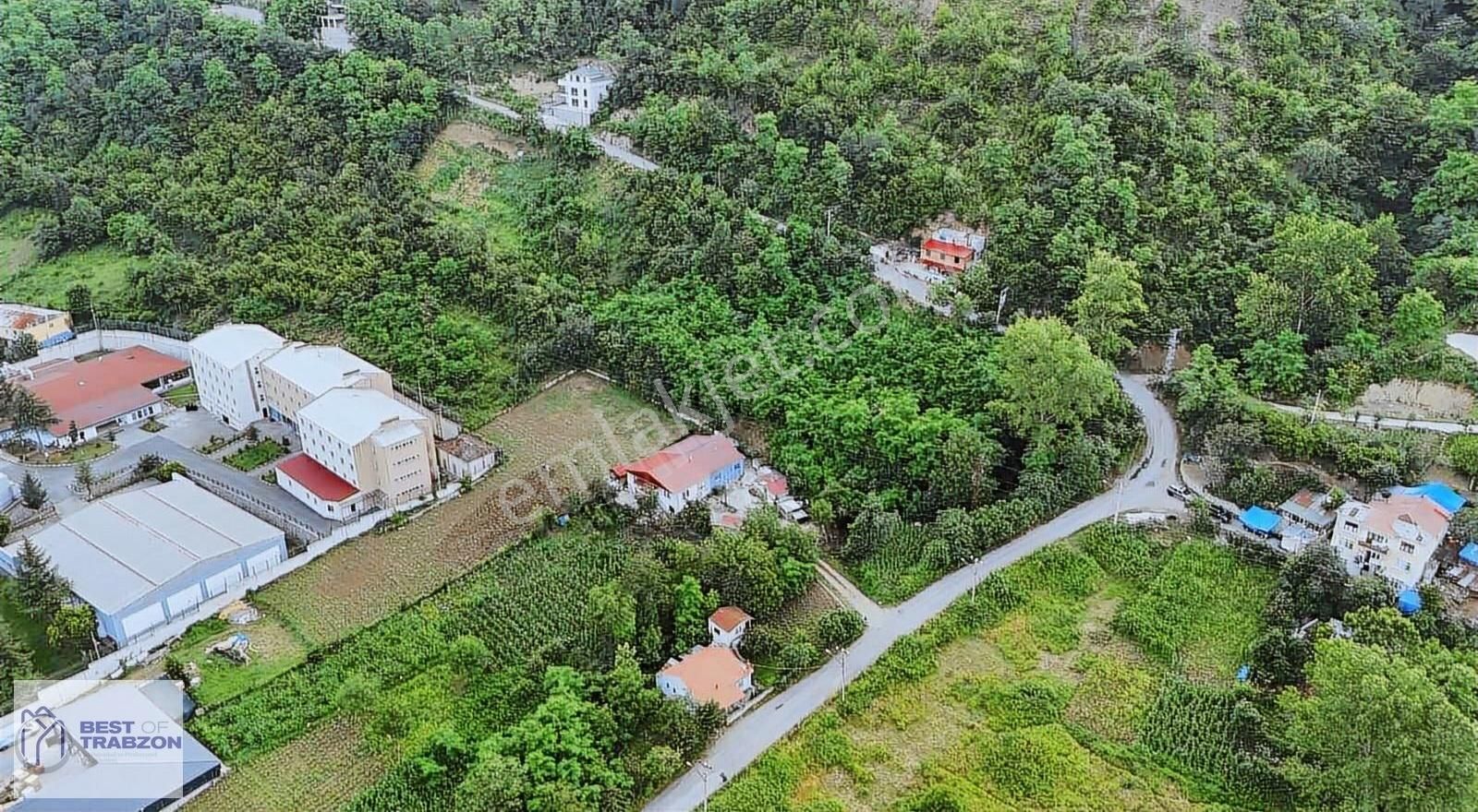 Best Of Trabzon Maçka Öğütlüde Satılık Fırsat Arsa