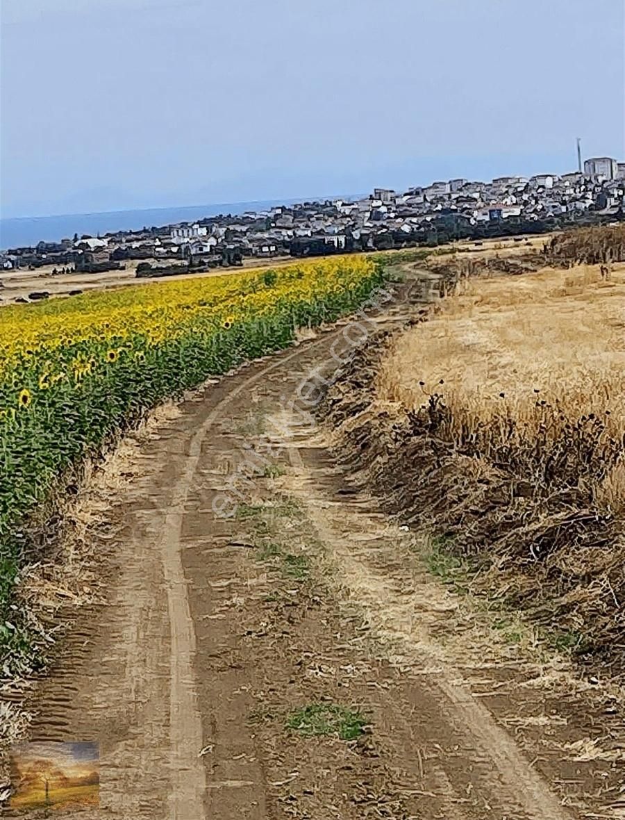 Acil İstanbul Silivri Gümüşyaka Sahibinden 585m2 Arsa - Görsel 10