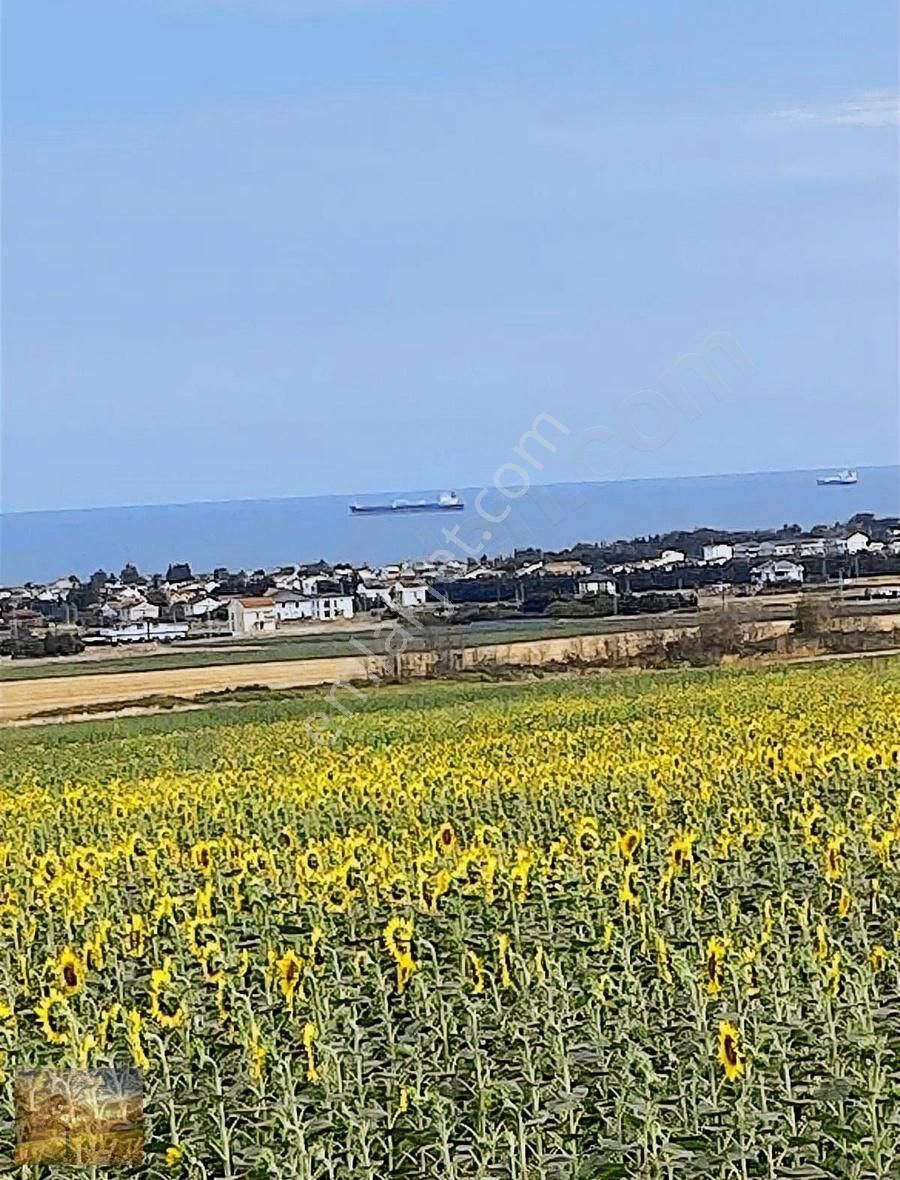 Acil İstanbul Silivri Gümüşyaka Sahibinden 585m2 Arsa - Görsel 15