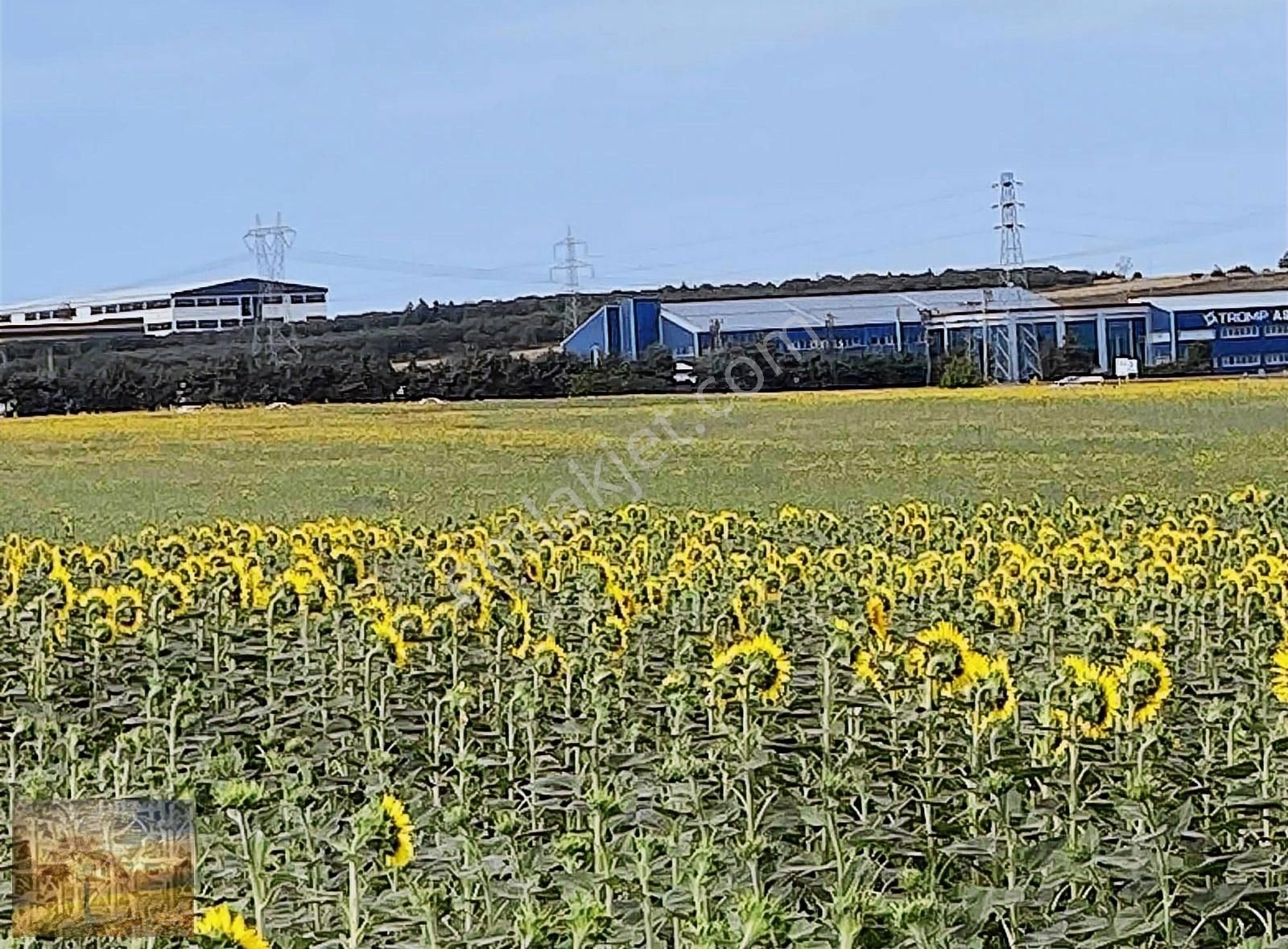 Acil İstanbul Silivri Gümüşyaka Sahibinden 585m2 Arsa - Görsel 21