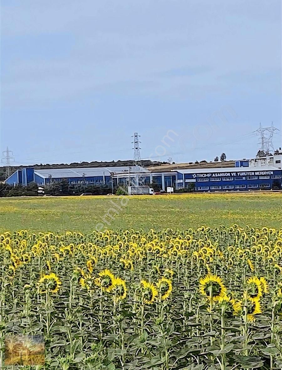 Acil İstanbul Silivri Gümüşyaka Sahibinden 585m2 Arsa - Görsel 6