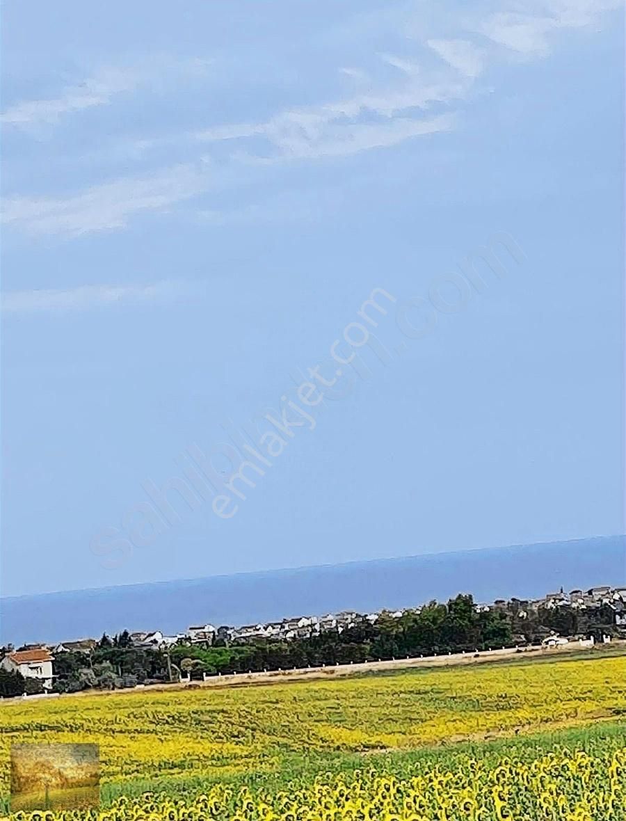 Acil İstanbul Silivri Gümüşyaka Sahibinden 585m2 Arsa - Görsel 11