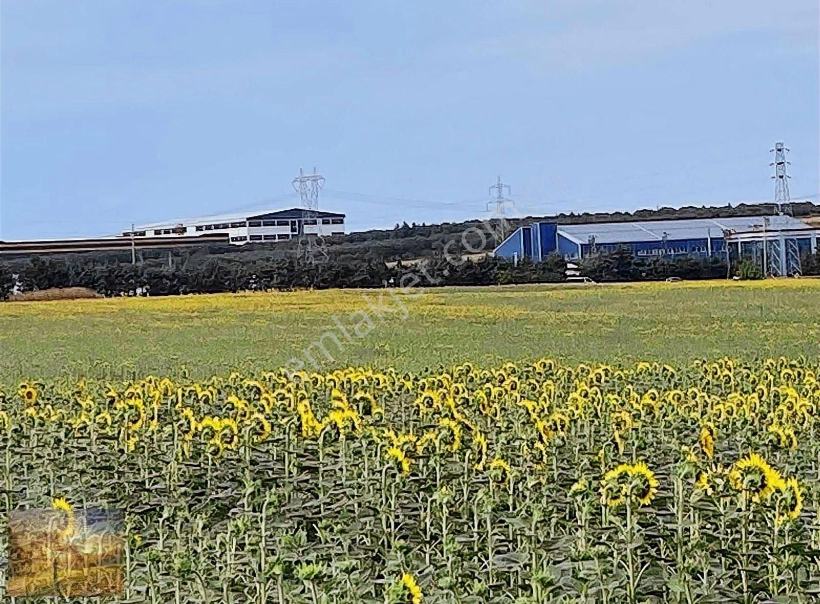 Acil İstanbul Silivri Gümüşyaka Sahibinden 585m2 Arsa