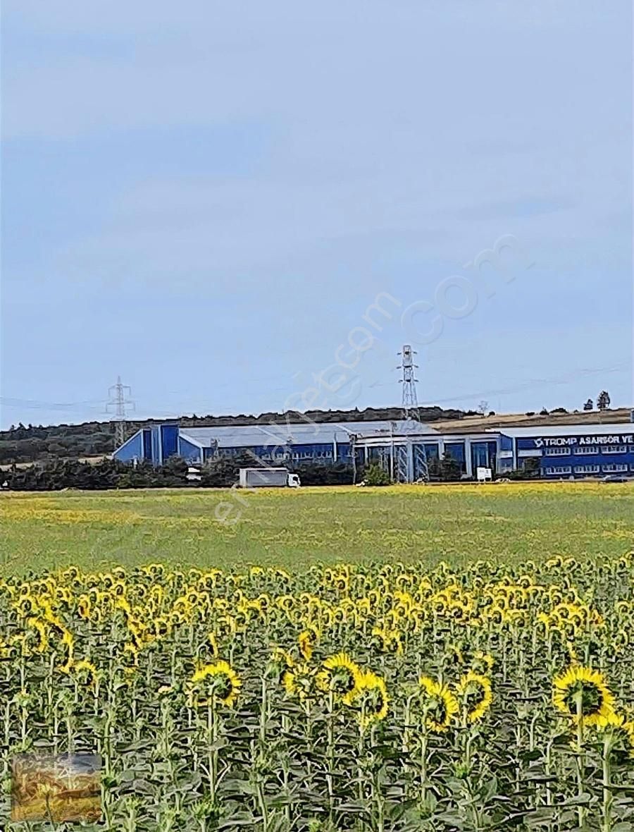 Acil İstanbul Silivri Gümüşyaka Sahibinden 585m2 Arsa - Görsel 2