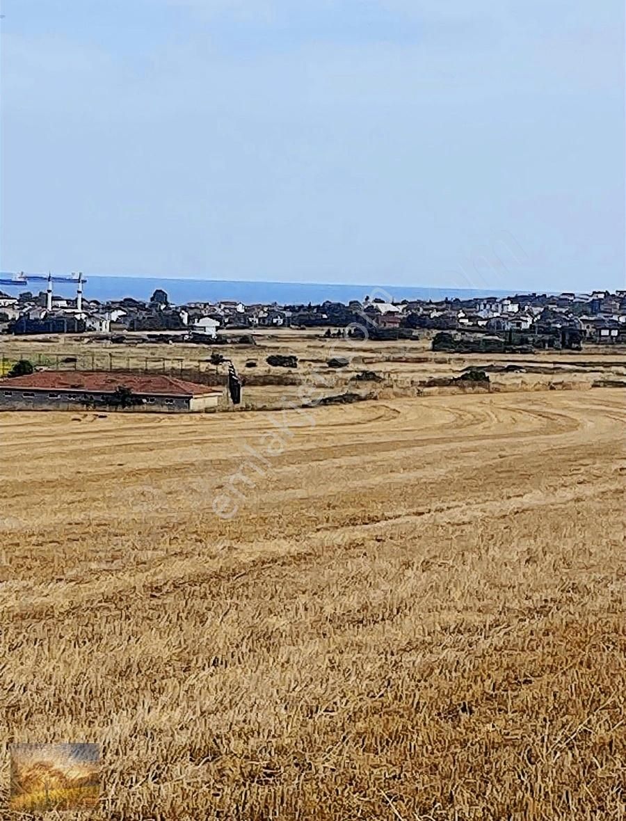 Acil İstanbul Silivri Gümüşyaka Sahibinden 585m2 Arsa - Görsel 4