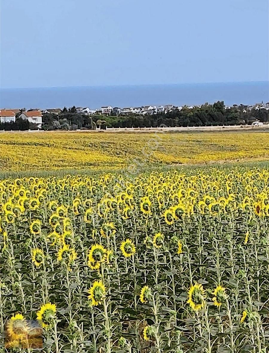 Acil İstanbul Silivri Gümüşyaka Sahibinden 585m2 Arsa - Görsel 30