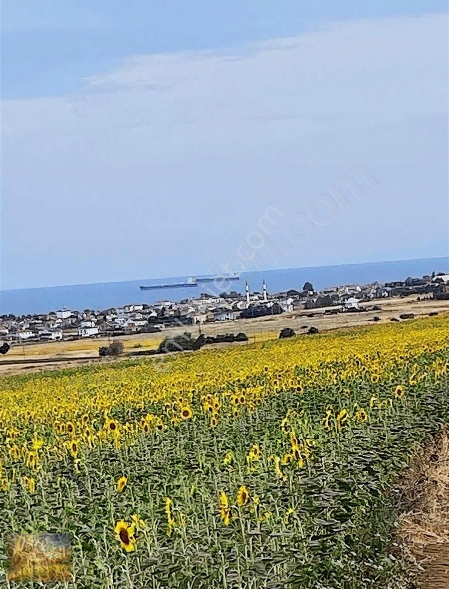 Acil İstanbul Silivri Gümüşyaka Sahibinden 585m2 Arsa - Görsel 26