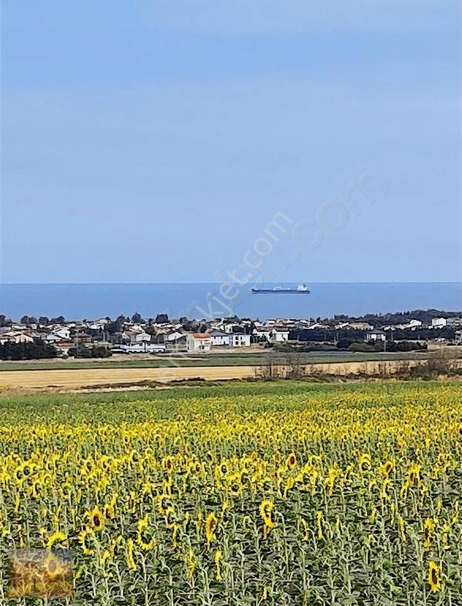 Acil İstanbul Silivri Gümüşyaka Sahibinden 585m2 Arsa - Görsel 22