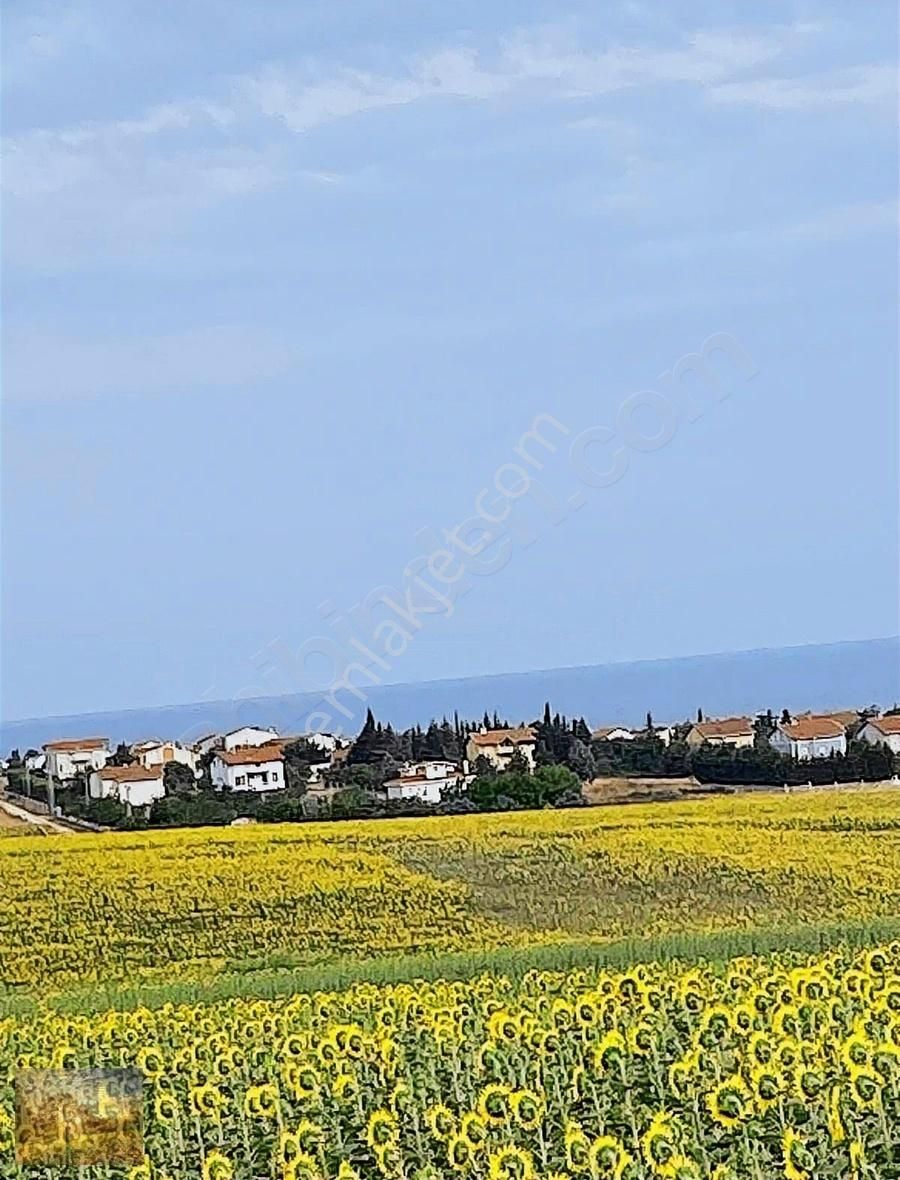 Acil İstanbul Silivri Gümüşyaka Sahibinden 585m2 Arsa - Görsel 14