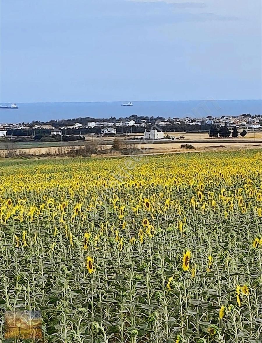 Acil İstanbul Silivri Gümüşyaka Sahibinden 585m2 Arsa - Görsel 32