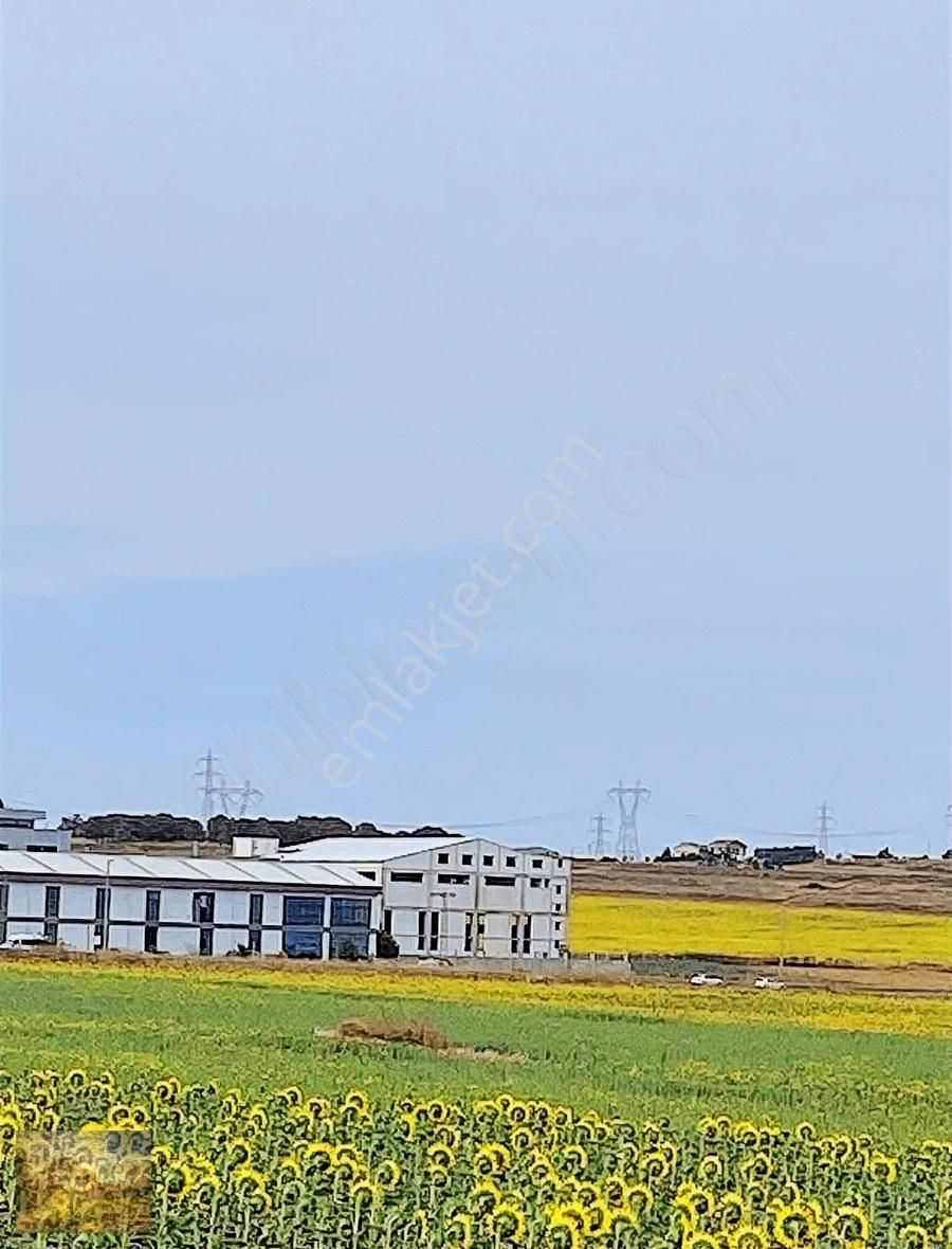 Acil İstanbul Silivri Gümüşyaka Sahibinden 585m2 Arsa - Görsel 12