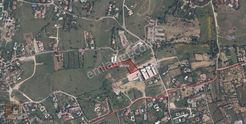 Darıca Filingir Mevkii Satılık Hisseli Tarla