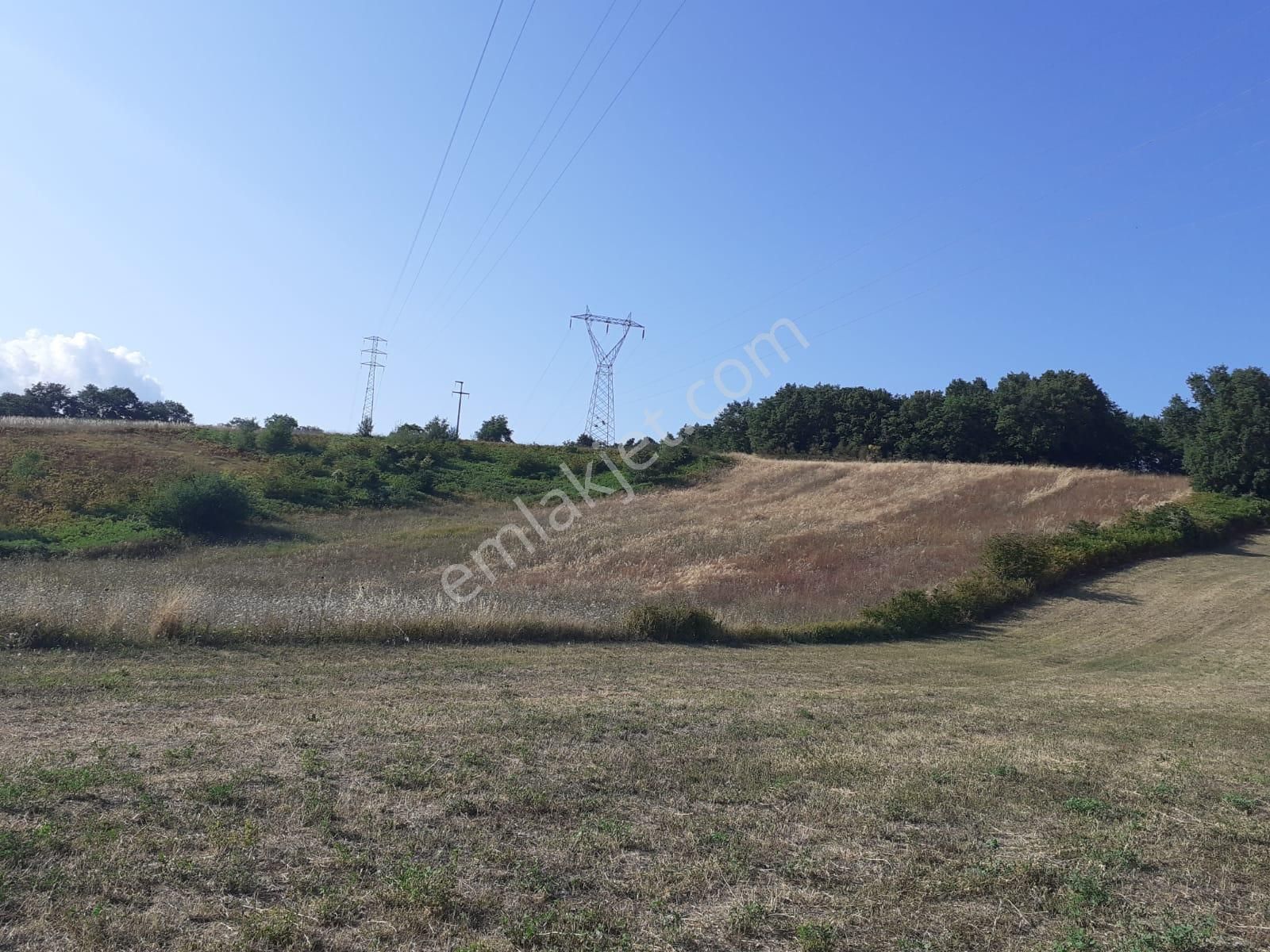 Otobana Ve Ormana Sıfır Kelepir 7500m2 Tarla