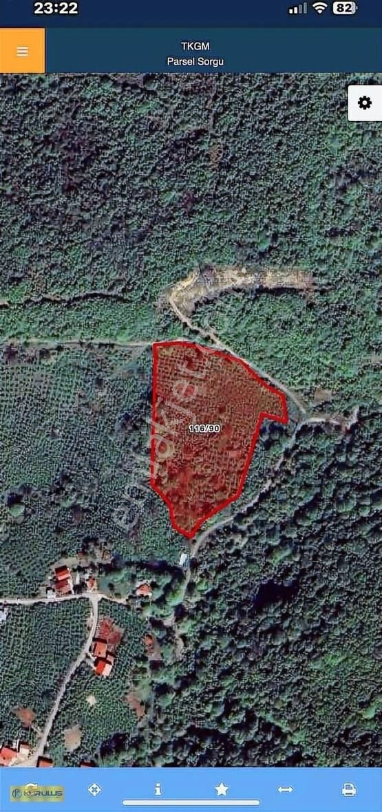 Dağdibinde Fındık Bahçesi Ve Hayvancılığa Uygun Arazi