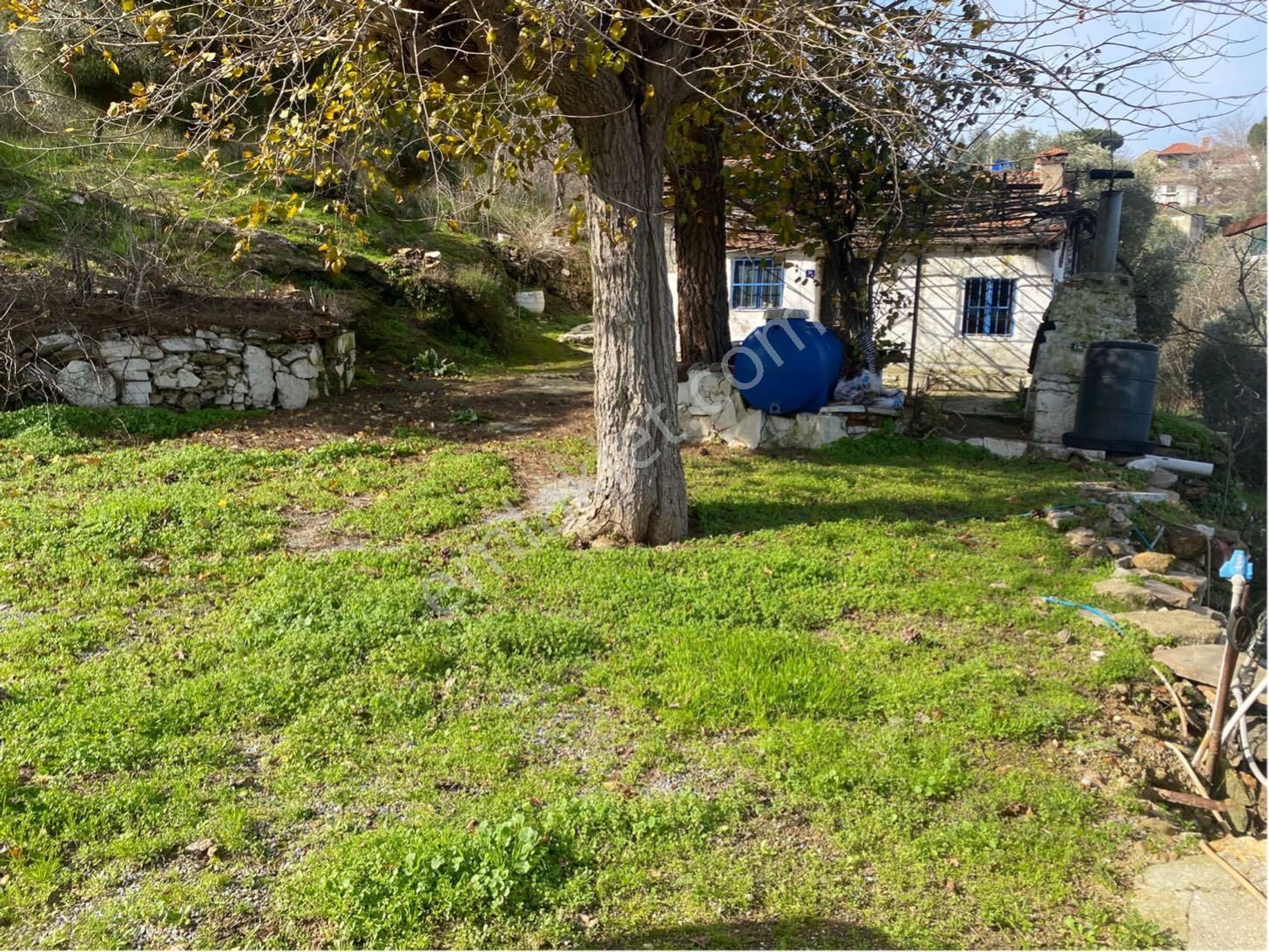 Söke Avşar Köyünde 1 Dönüm İçinde Köy Evi - Görsel 2