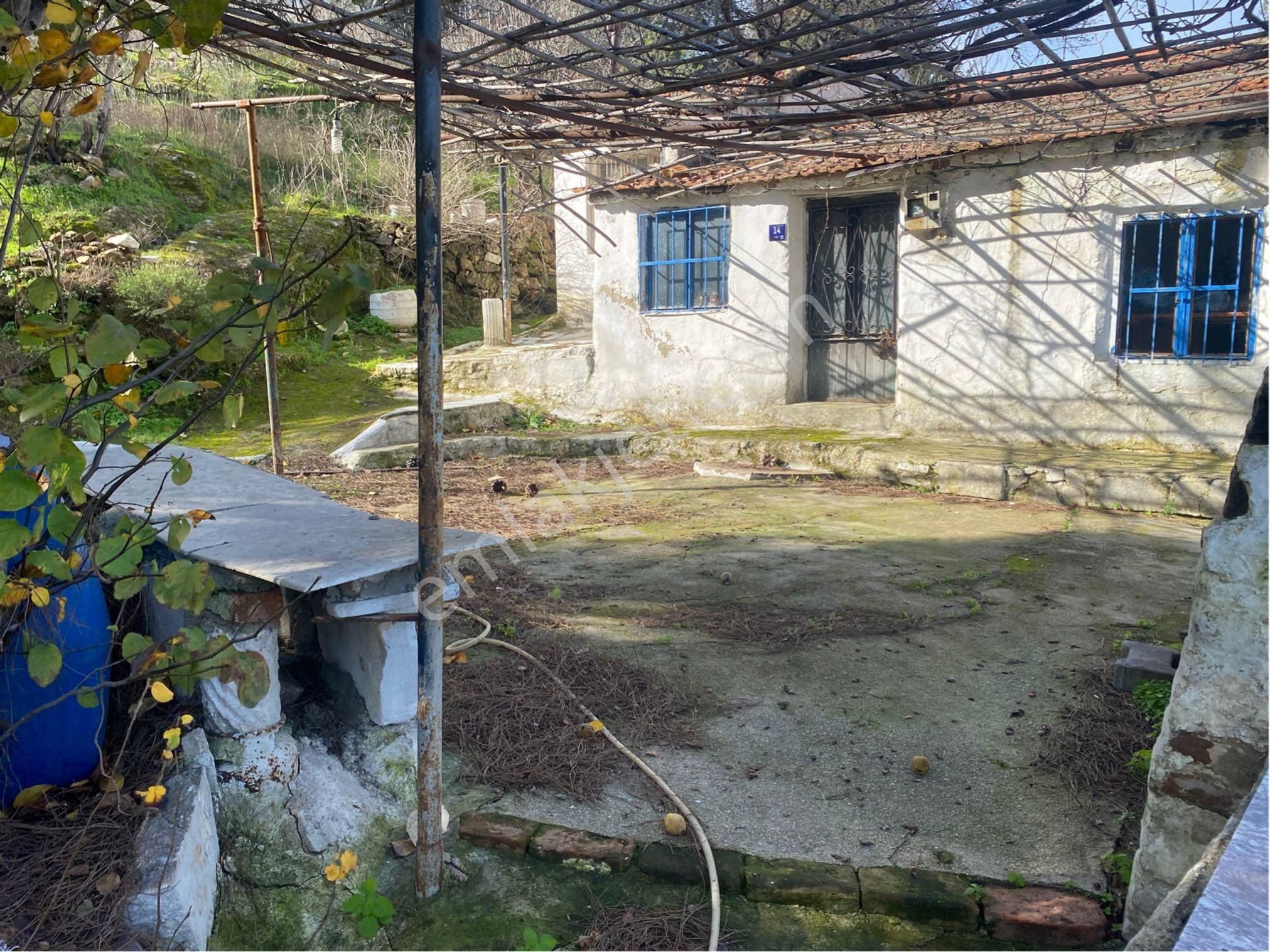 Söke Avşar Köyünde 1 Dönüm İçinde Köy Evi - Görsel 13