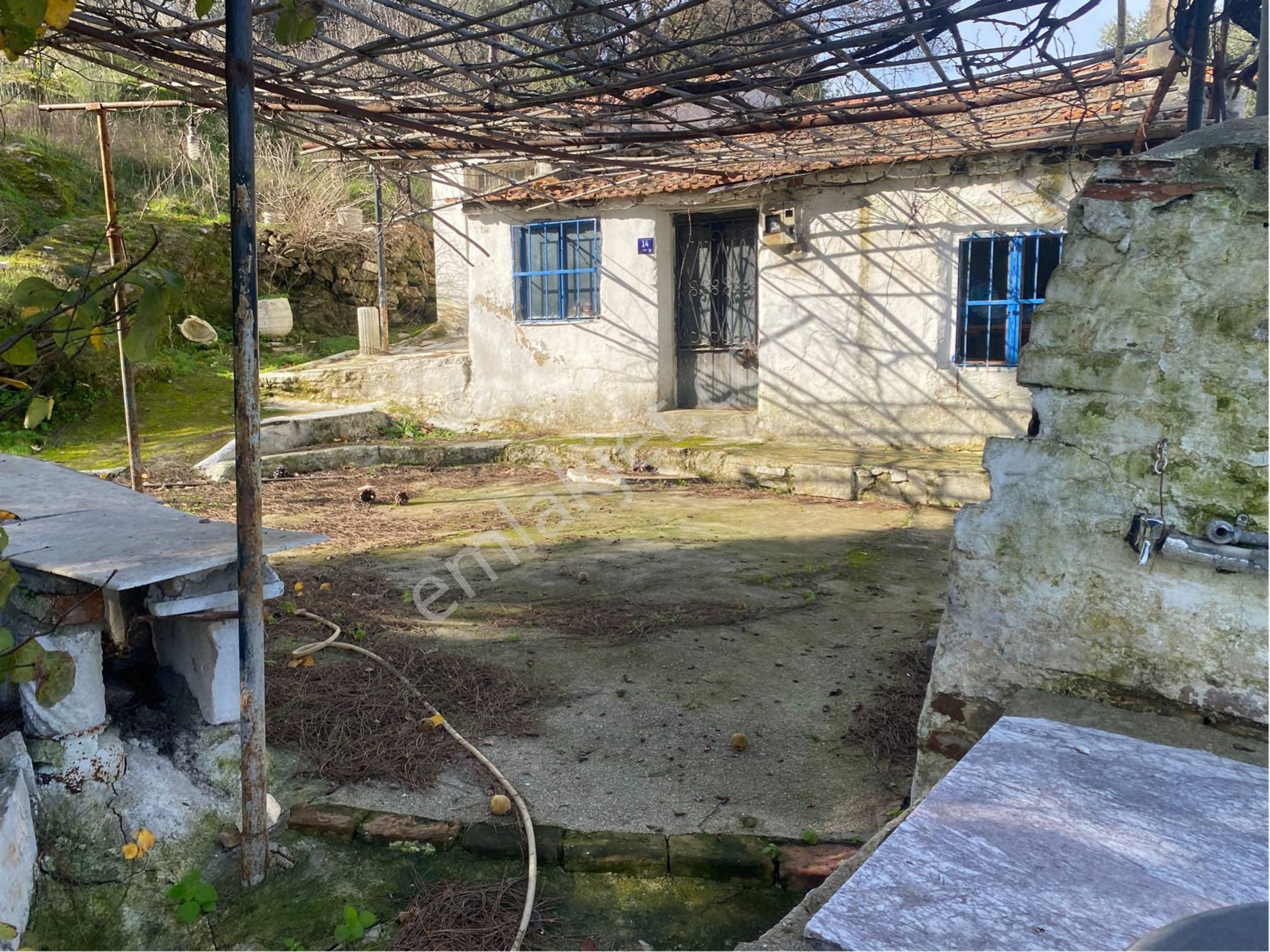 Söke Avşar Köyünde 1 Dönüm İçinde Köy Evi - Görsel 10