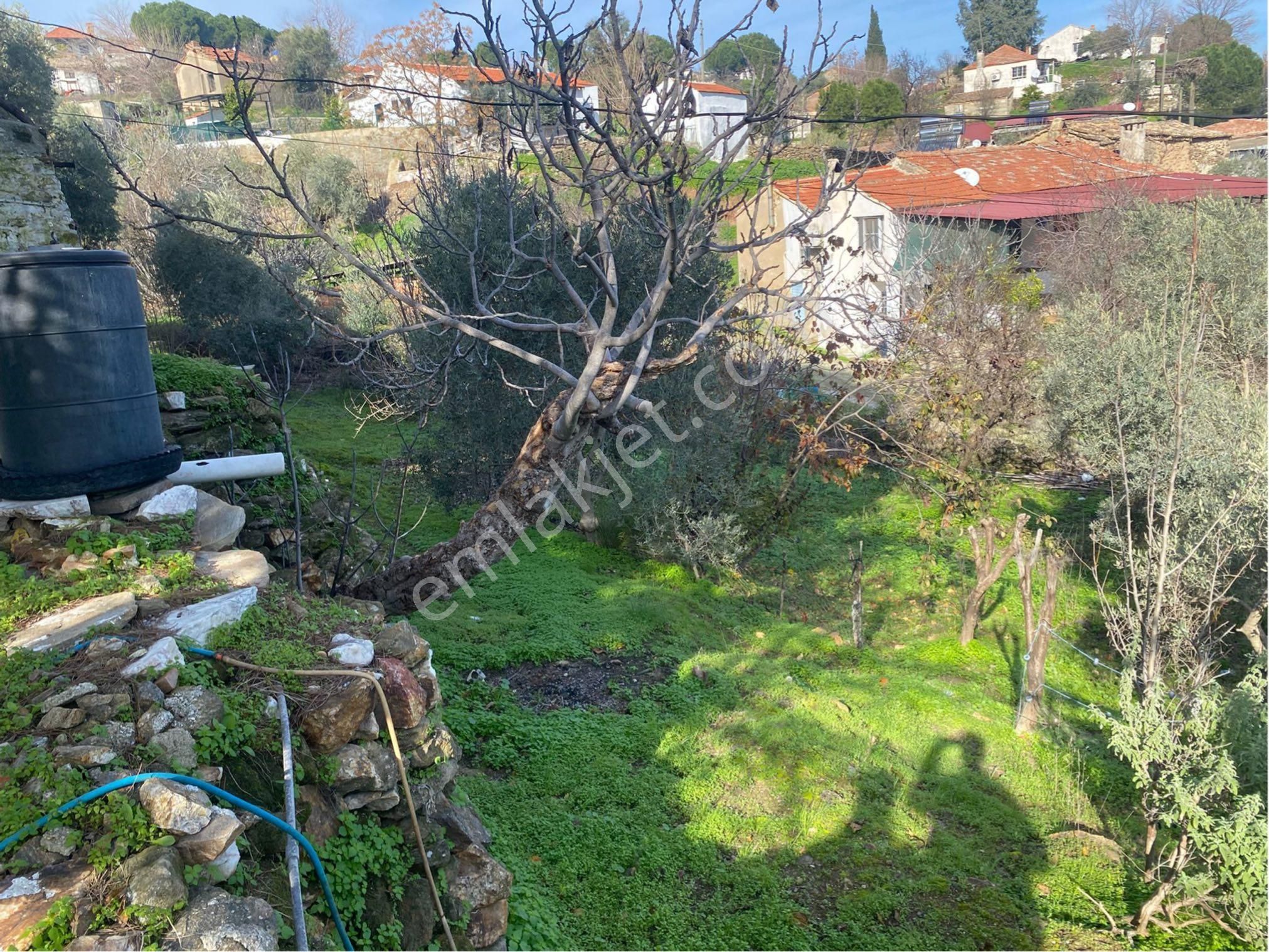 Söke Avşar Köyünde 1 Dönüm İçinde Köy Evi - Görsel 9