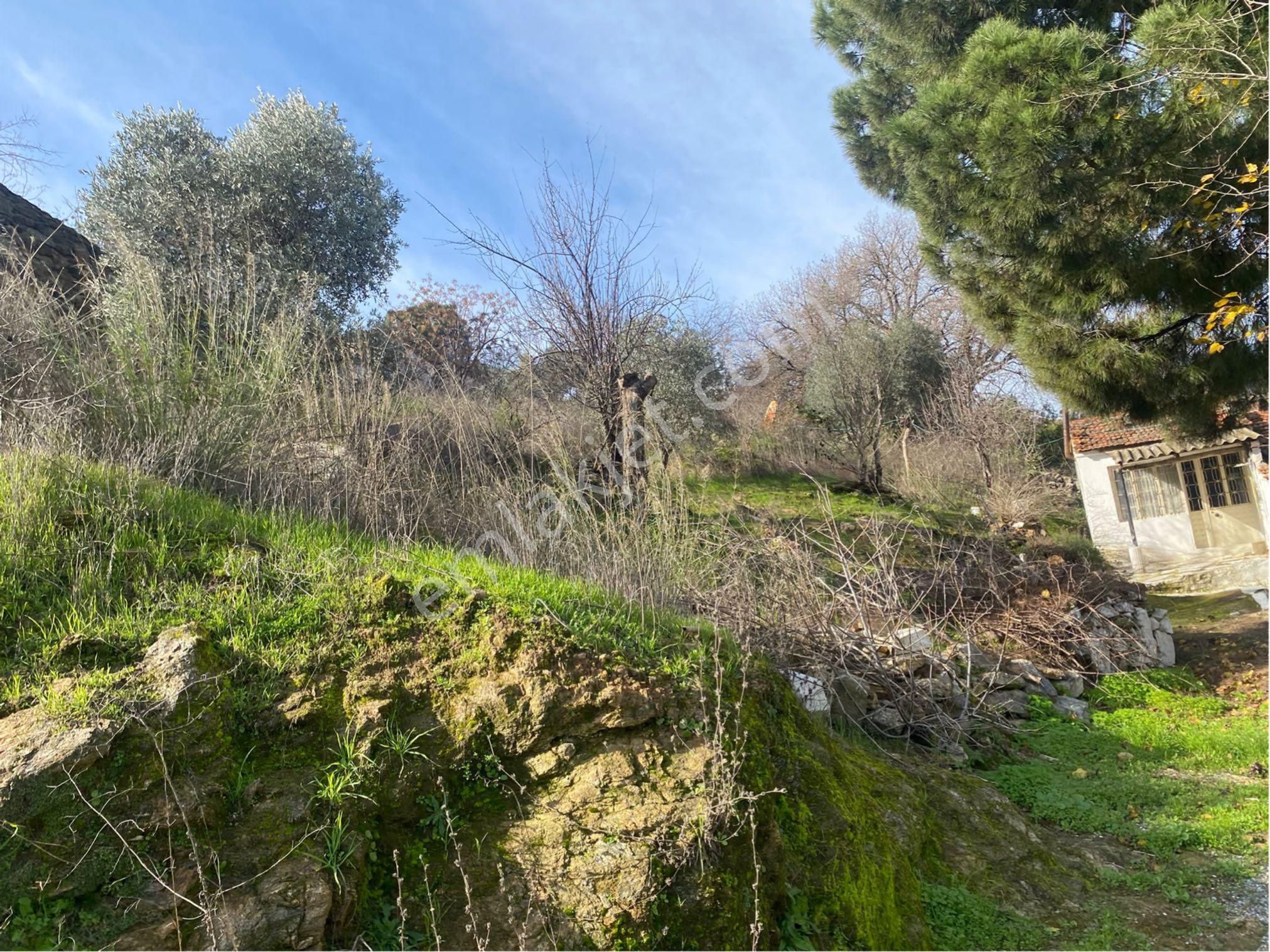 Söke Avşar Köyünde 1 Dönüm İçinde Köy Evi - Görsel 12