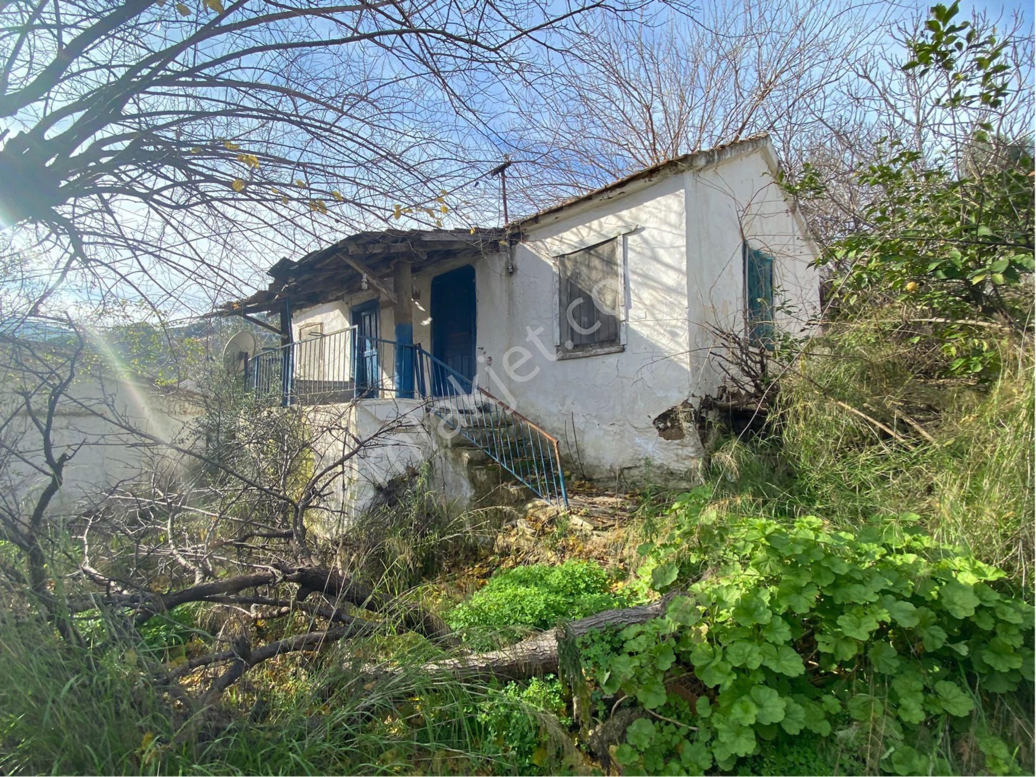 Koca Bahce İçinde Köy Evi 750 M2 Dev Bahçe