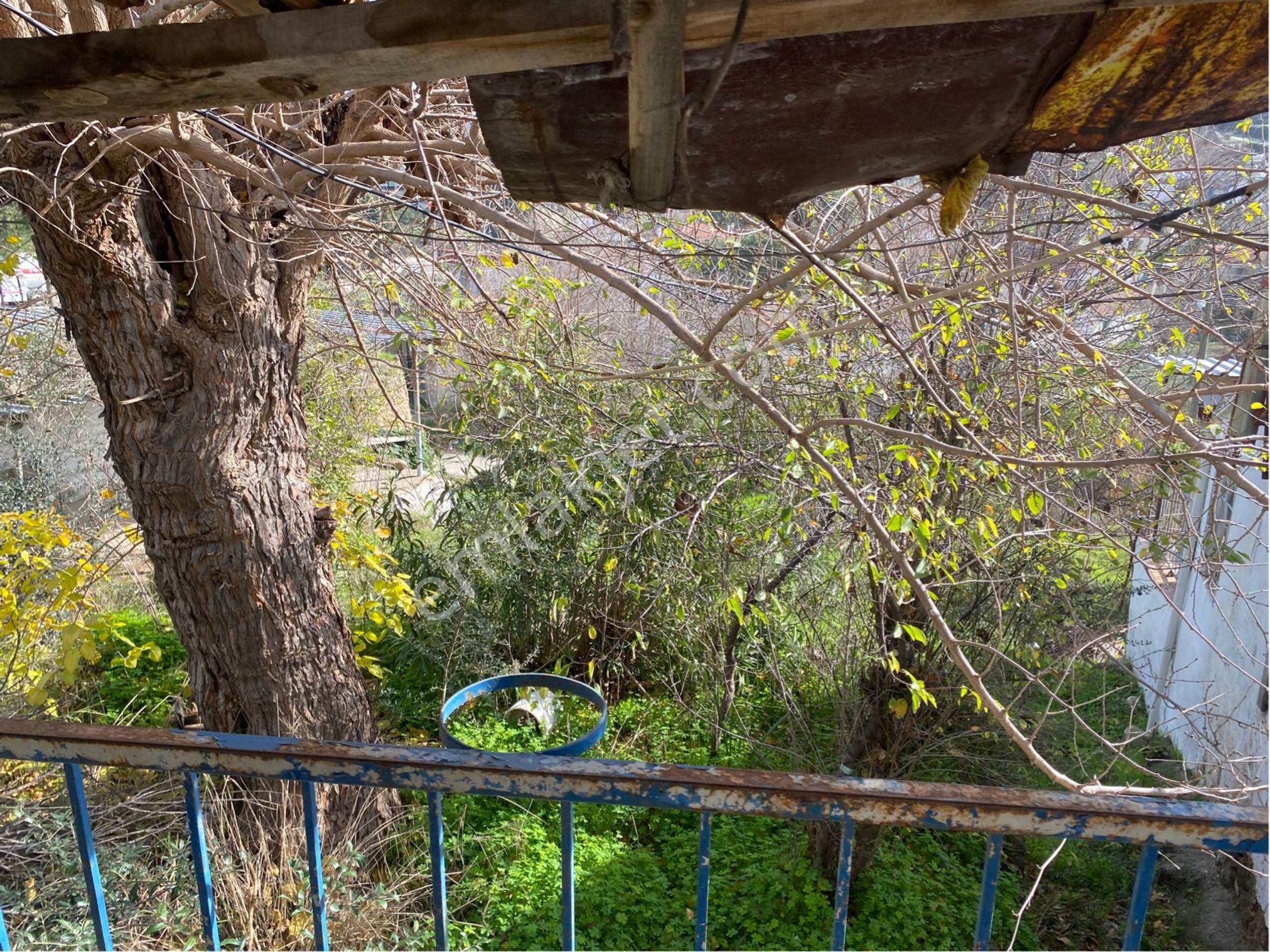 Koca Bahce İçinde Köy Evi 750 M2 Dev Bahçe - Görsel 12