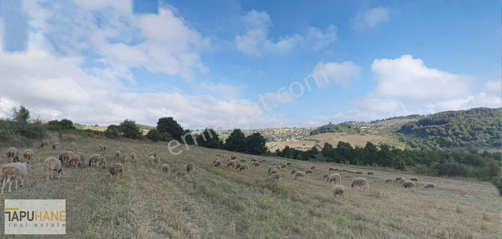 Kocaeli , Kandıra, Çakmaklar Satılık 611 M2 Tarla - Görsel 5