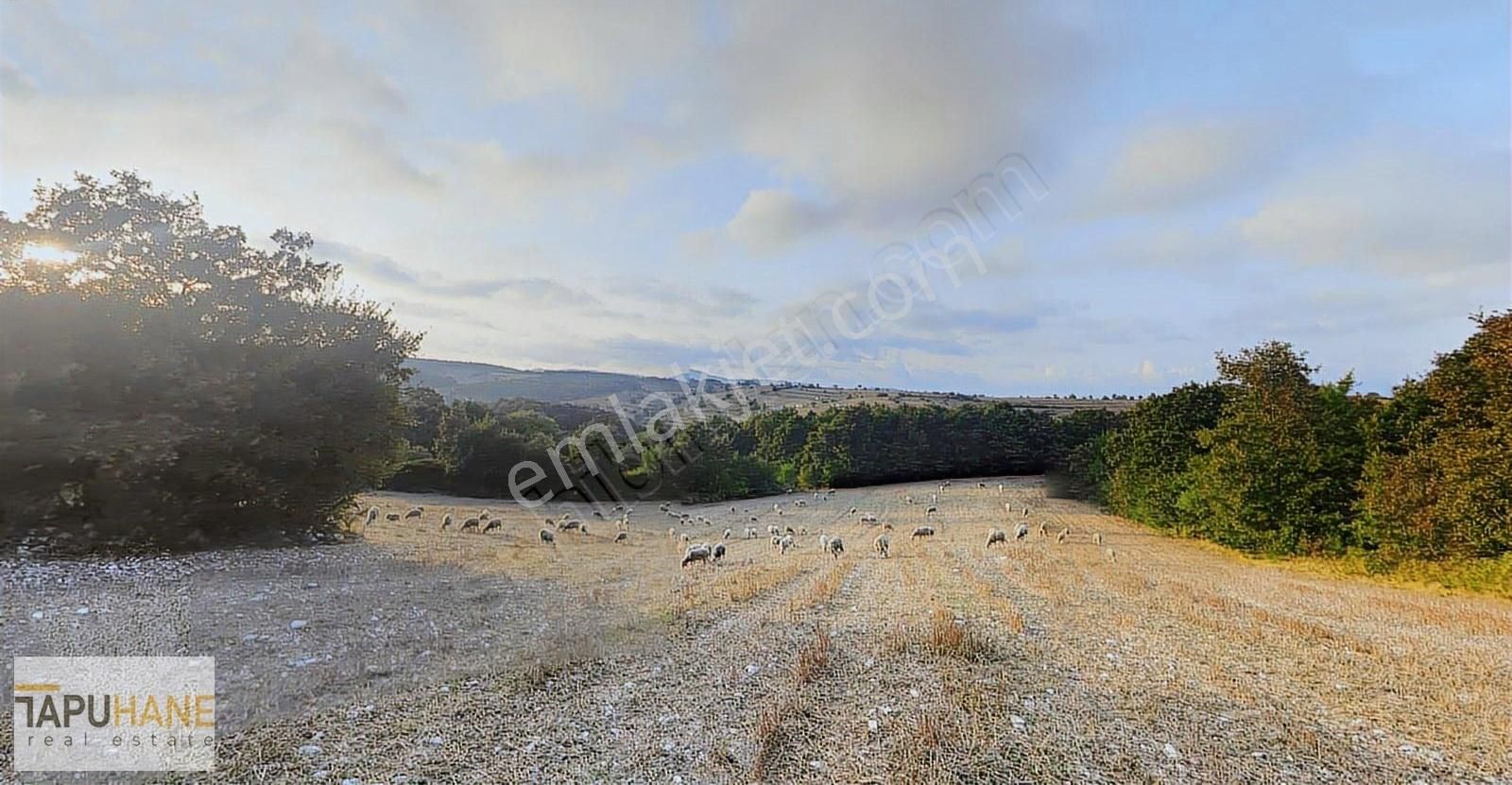 Kocaeli , Kandıra, Çakmaklar Satılık 611 M2 Tarla - Görsel 10
