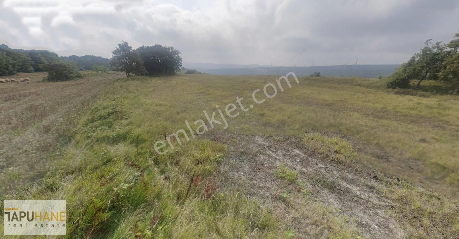 Kocaeli , Kandıra, Çakmaklar Satılık 611 M2 Tarla - Görsel 3