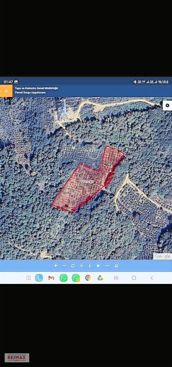 Remax Anka'dan Kandırada 5951 M2 Satılık Fındık Bahçesi