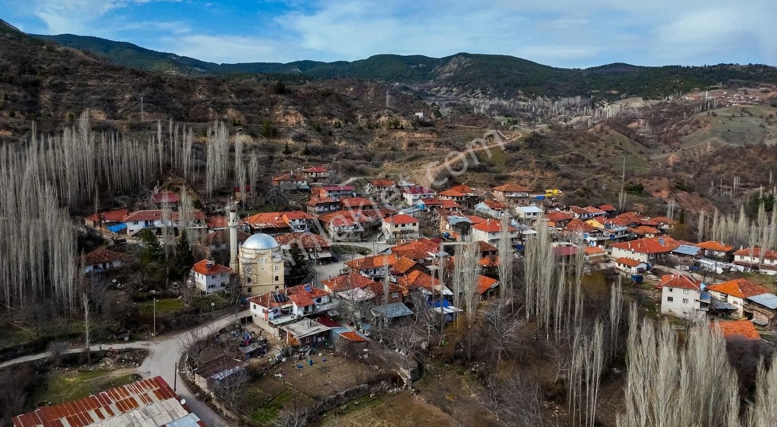 Satılık Tarla Kütahya Gediz Yelki Köyü