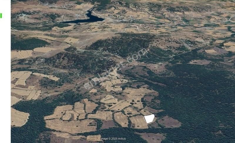 Kıranşeyh'de Yerleşime Yakın Orman Cepheli Ekmeye Uygun 1740m²