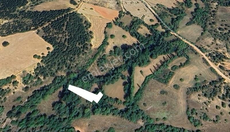 Gediz Yenigüney'de Merkeze Çok Yakın Tek Tapu 755m²