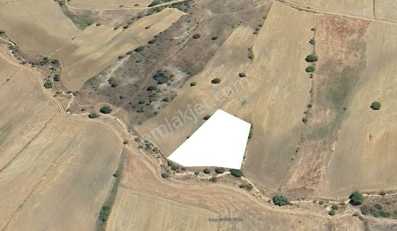 Gediz'de Kadastro Yoluna 60m Cepheli 2426m²