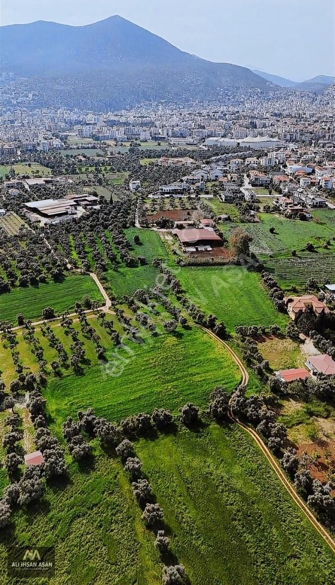 Milas Hayıtlı Mahallesinde Satılık Arazi