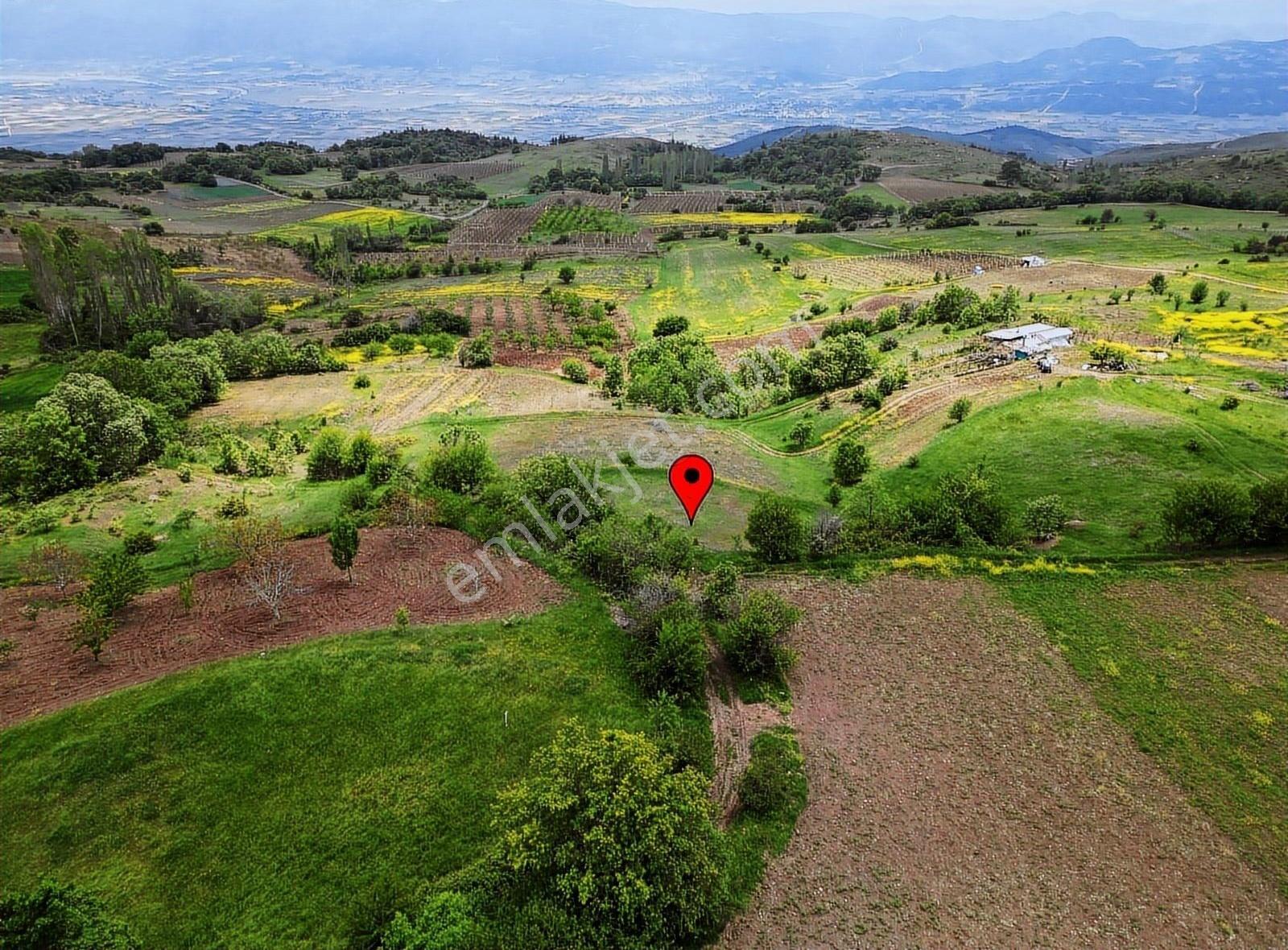 Satılık Arsa Sakarya Pamukova Akçakaya Mahallesi - Görsel 5