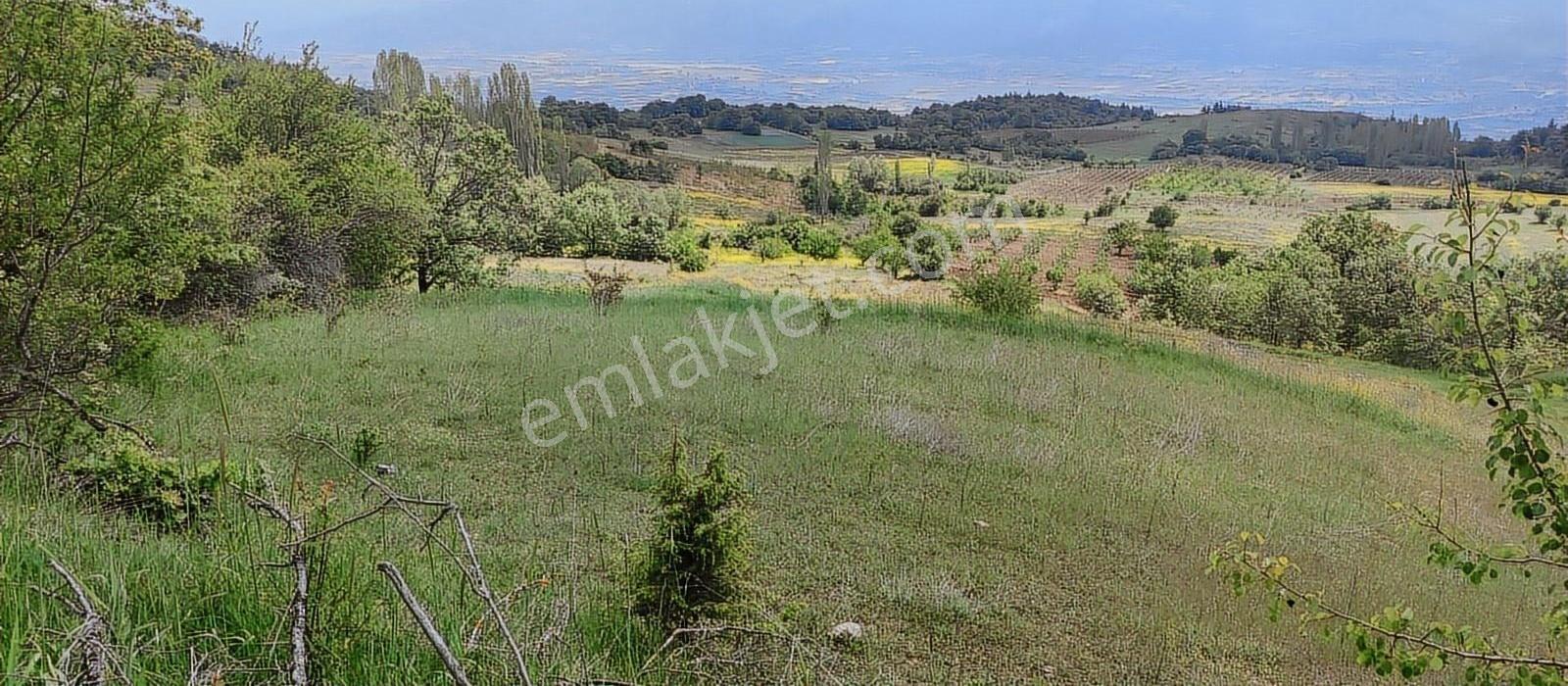 Satılık Arsa Sakarya Pamukova Akçakaya Mahallesi - Görsel 15