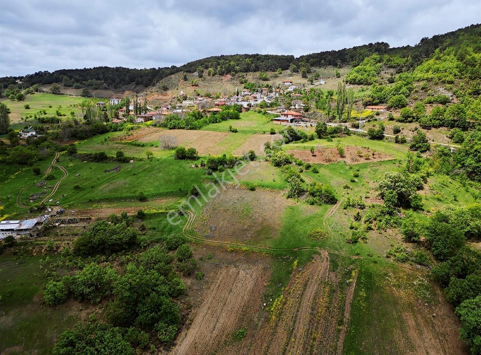 Satılık Arsa Sakarya Pamukova Akçakaya Mahallesi - Görsel 4
