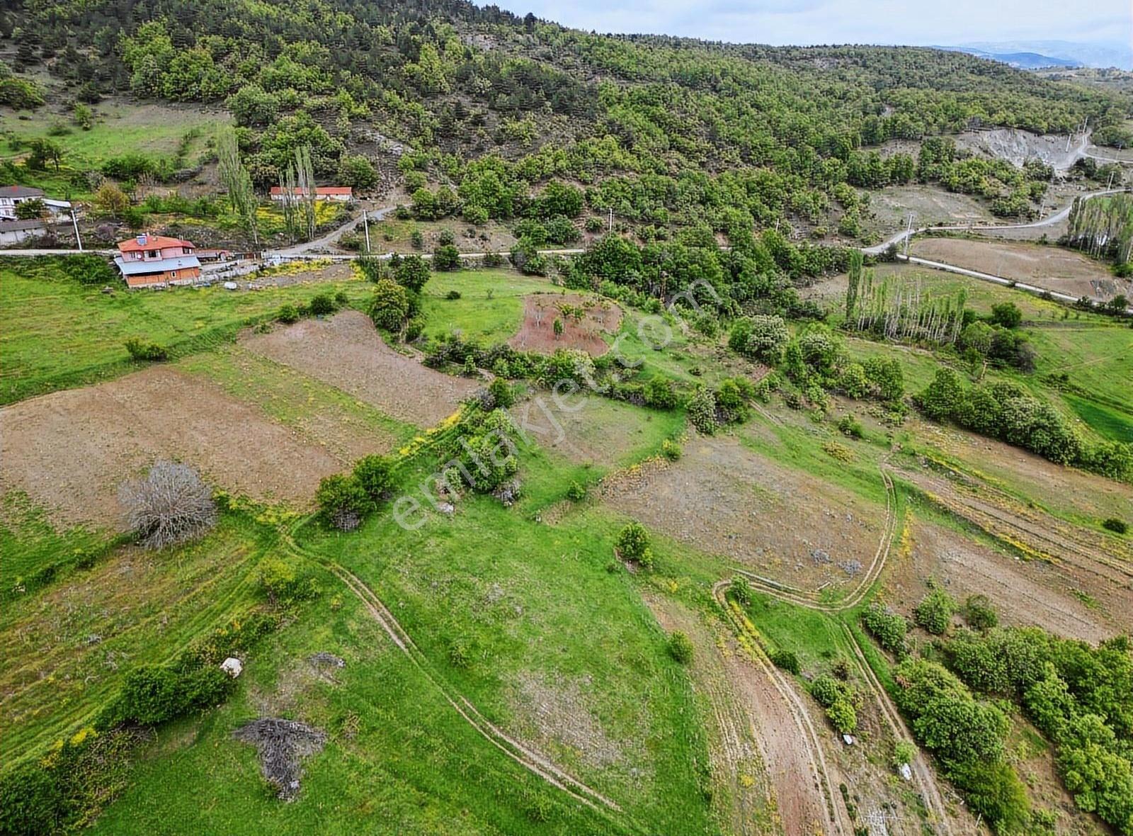 Satılık Arsa Sakarya Pamukova Akçakaya Mahallesi - Görsel 9