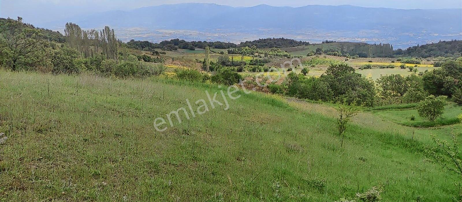 Satılık Arsa Sakarya Pamukova Akçakaya Mahallesi - Görsel 10