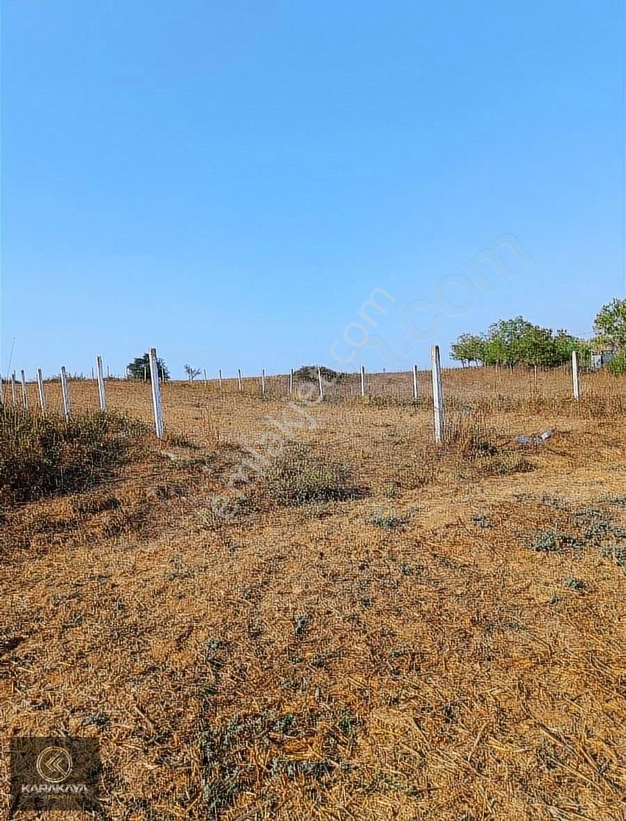 Kandıra Balcı Köyü 568m2 Yatırımlık Kaçırmayın