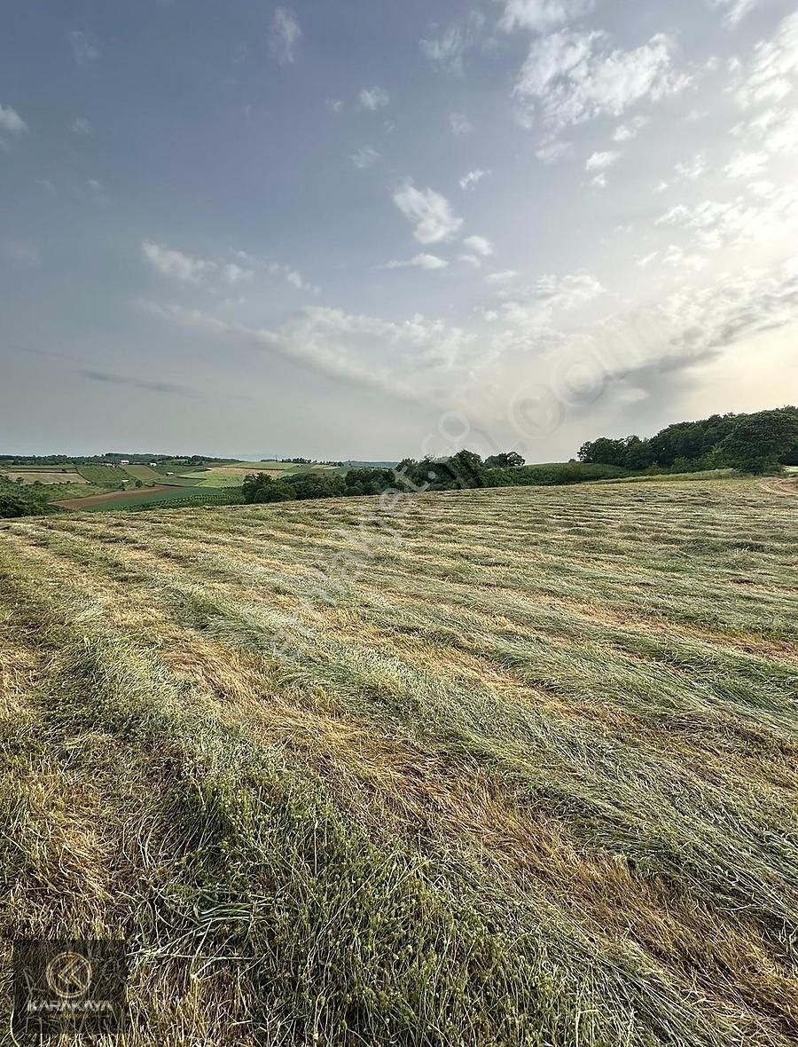 Kandıra Sarıgazi 3.800m2 %5 İmarlı Yola Cepheli
