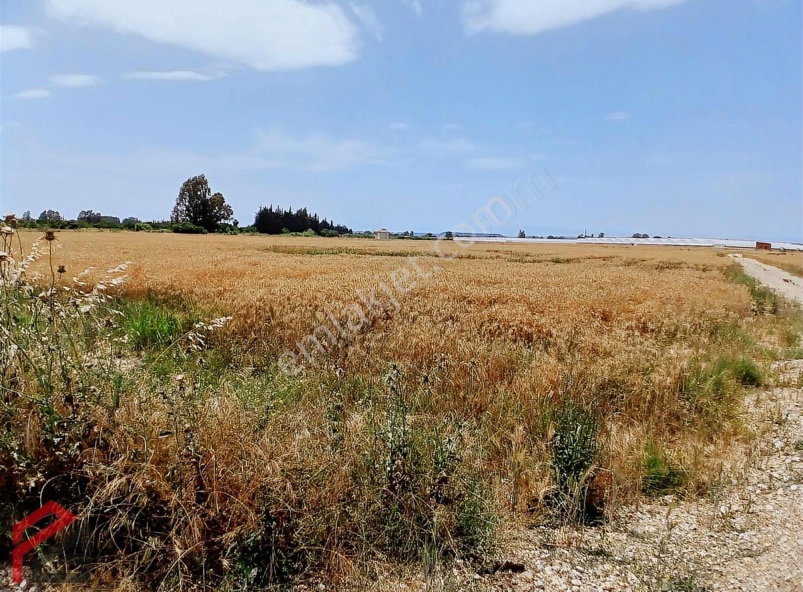 Aksu Solak 12.474 M2 Satılık Tarla (no: 607)