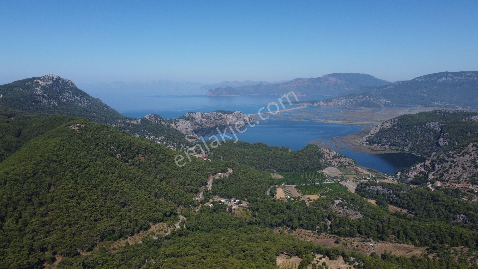 Rest Emlak- Emsalsiz Deniz Manzaralı Villa - Görsel 10