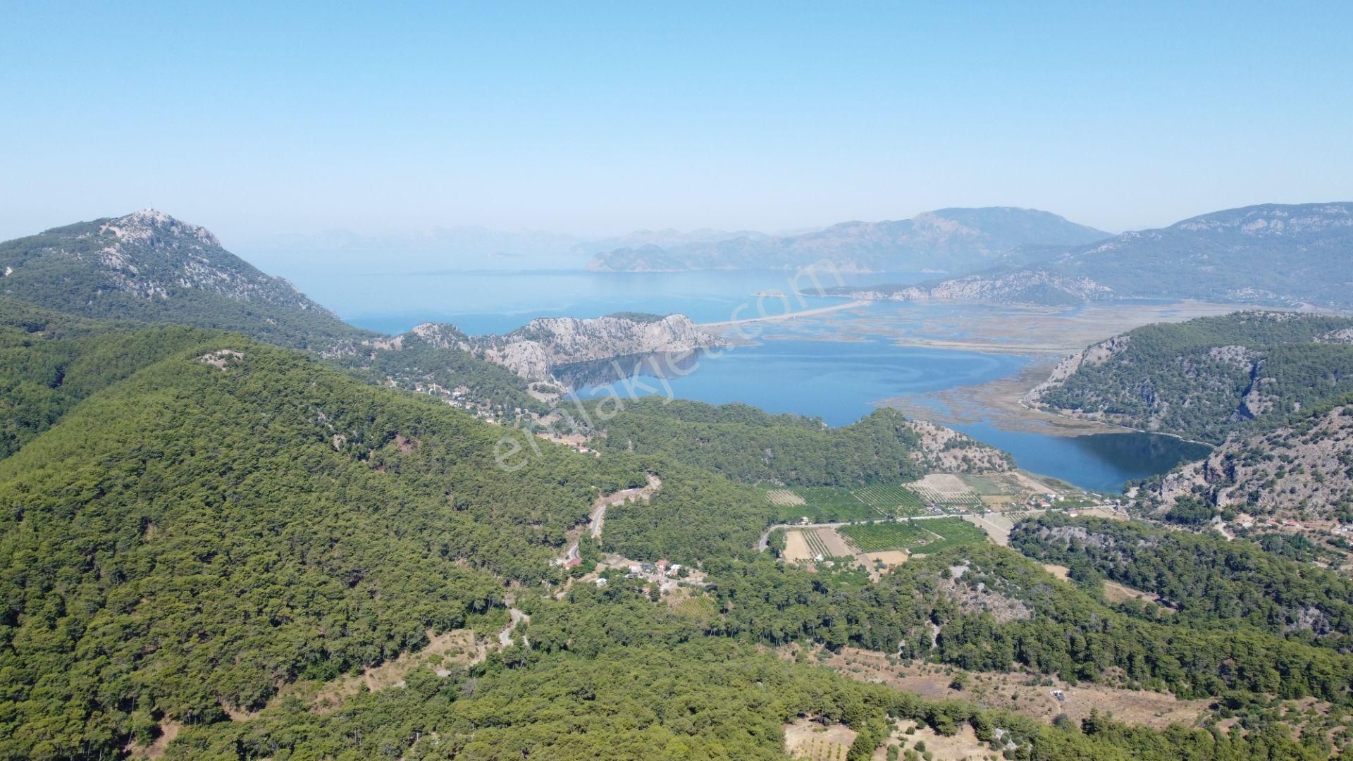 Rest Emlak- Emsalsiz Deniz Manzaralı Villa - Görsel 15