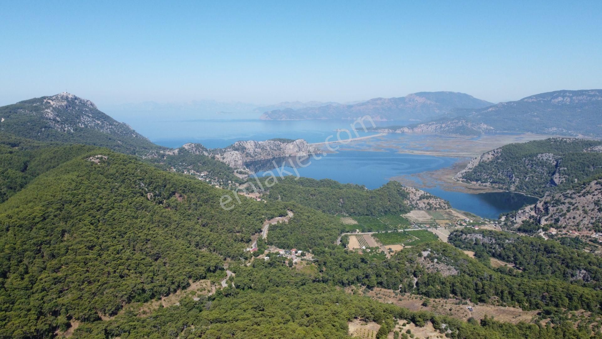 Rest Emlak- Emsalsiz Deniz Manzaralı Villa - Görsel 14